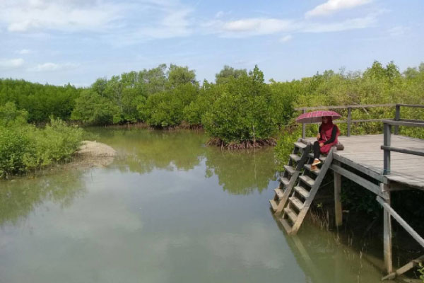 Alamat dan Rute Lokasi Labuhan Mangrove Education Park