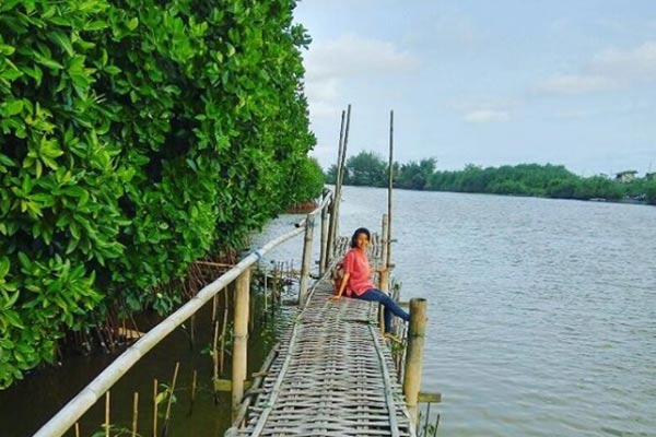 Alamat dan Rute Lokasi Mangrove Wana Tirta
