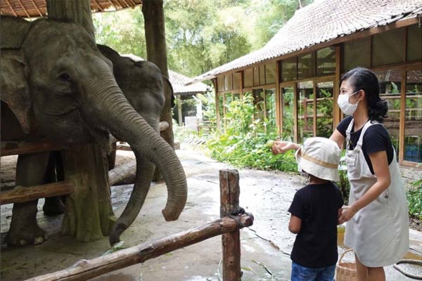 Alamat dan Rute Lokasi Taman Safari Bali