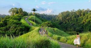 Bukit Campuhan Hills Bali