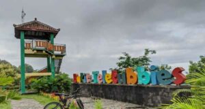 Bukit Teletubbies Yogyakarta