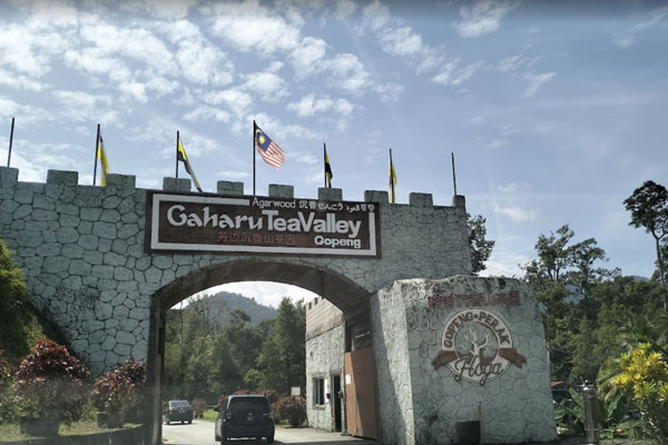 Entrance Fee Gaharu Tea Valley