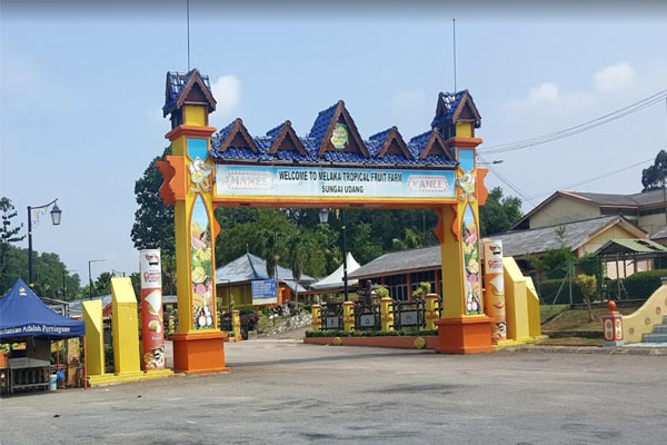 Entrance Fee Melaka Tropical Fruit Farm
