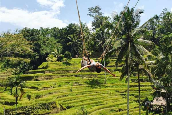 Fasilitas di Bali Terrace Rice Tegallalang