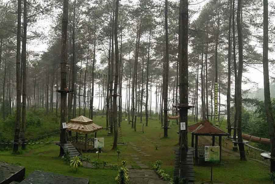 Fasilitas di Bandung Treetop Adventure Park