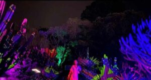 Glow Garden Kebun Raya Bogor
