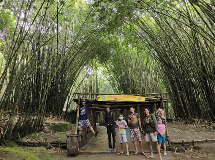 Harga Tiket Masuk Hutan Bambu Lumajang
