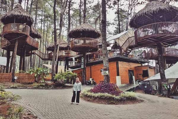 Harga Tiket Masuk Kopeng Treetop Adventure Park