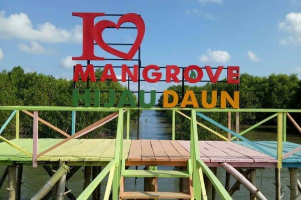 Harga Tiket Masuk Mangrove Hijau Daun