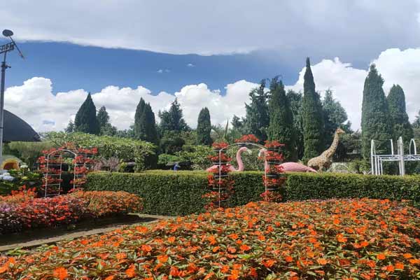 Harga Tiket Masuk Taman Begonia Lembang
