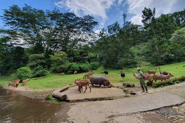 Harga Tiket Masuk Taman Safari Bogor