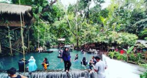 Hutan Lindung Sesaot Lombok