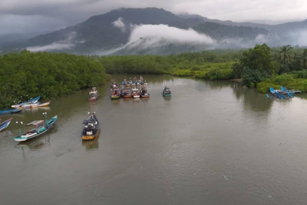 Jam Buka Hutan Mangrove Pancer Cengkrong