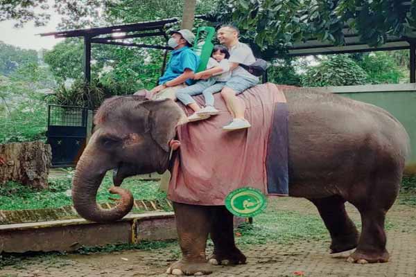 Jam Buka Kebun Binatang Bandung