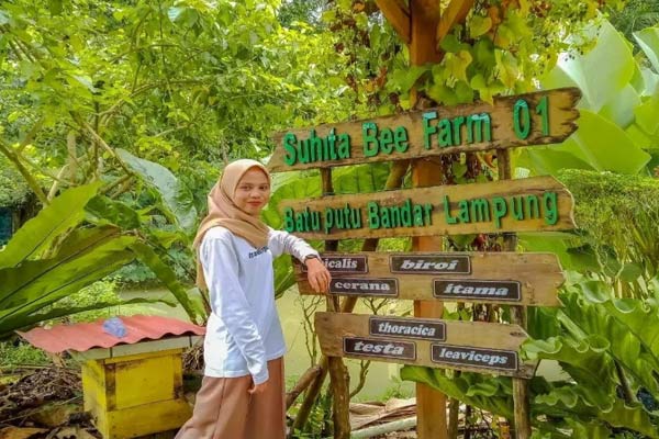 Jam Buka Suhita Bee Farm