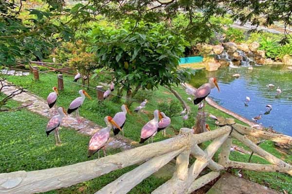 KL Bird Park Kuala Lumpur