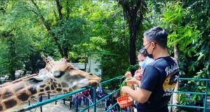 Kebun Binatang Surabaya Jawa Timur