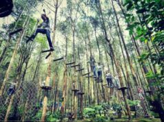 Kopeng Treetop Adventure Park Salatiga