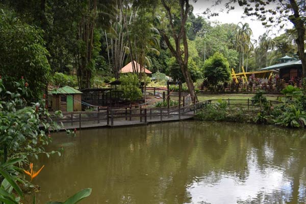 Location Taman Tumbina Bintulu