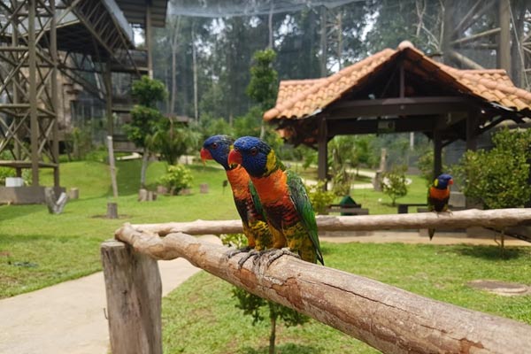 Opening Hours Taman Burung Melaka