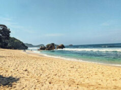 Pantai Selok Malang Jawa Timur