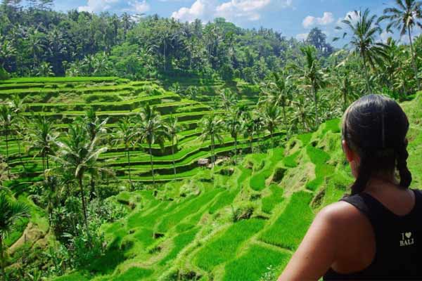 Rice Terrace Tegalalang Bali