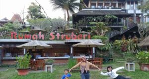 Rumah Stroberi Lembang