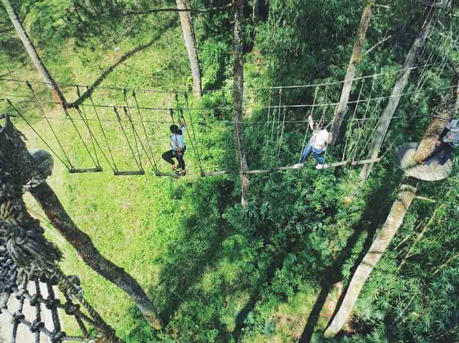 Spot Wisata di Bandung Treetop Adventure Park