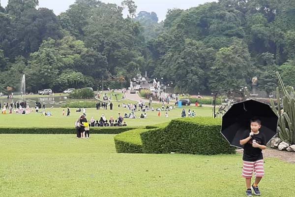 Spot Wisata di Kebun Raya Bogor