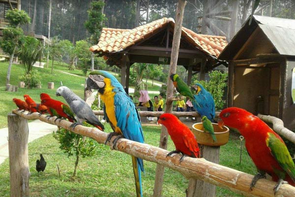 Spot di Taman Burung Melaka