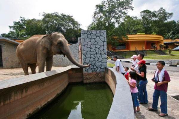 Spot di Zoo Johor