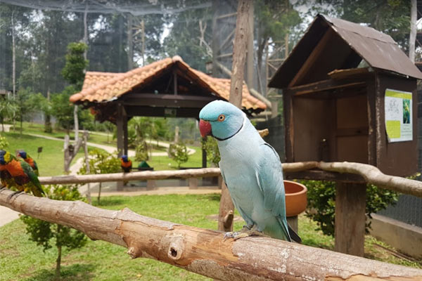 Taman Burung Melaka
