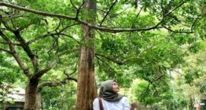 Taman Hutan Raya Ir Juanda Bandung