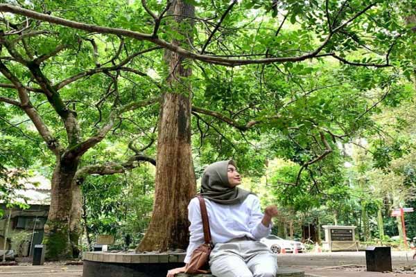 Taman Hutan Raya Ir Juanda Bandung
