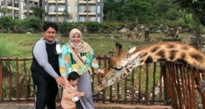 Taman Safari Prigen Park Indonesia ll