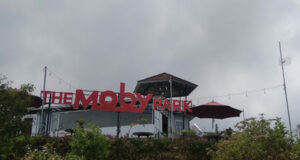 The Moby Park Wonosobo
