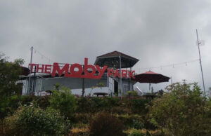 The Moby Park Wonosobo