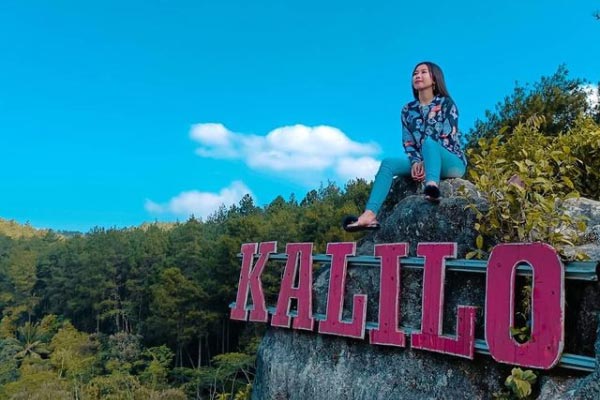 Tips Berkunjung ke Hutan Pinus Kalilo
