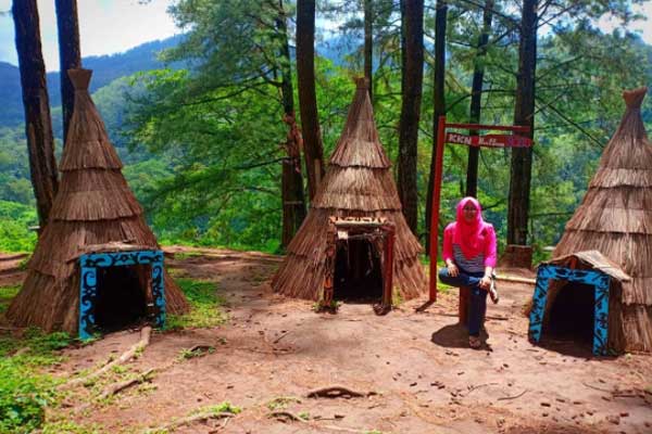 Tips Berkunjung ke Hutan Pinus Nongko Ijo
