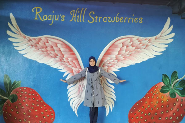 Tips Melawat Raju Hill Strawberry Farm