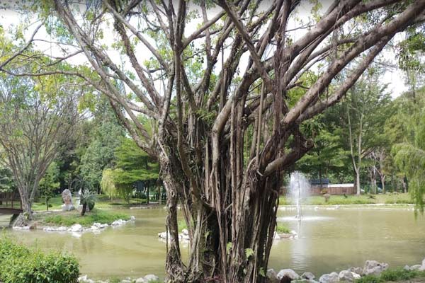 Tips Melawat Taman Jepun Ipoh