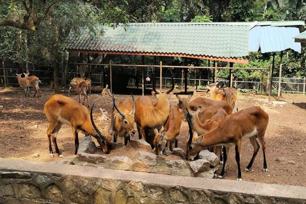 Tips Melawat Zoo Melaka