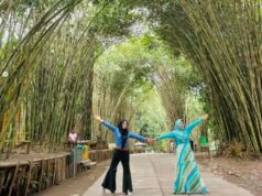 Wisata Alam Hutan Bambu Lumajang