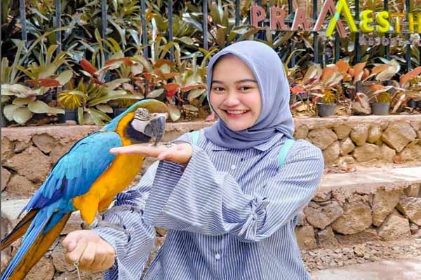 Wisata Bird & Bromelia Pavilion Bandung
