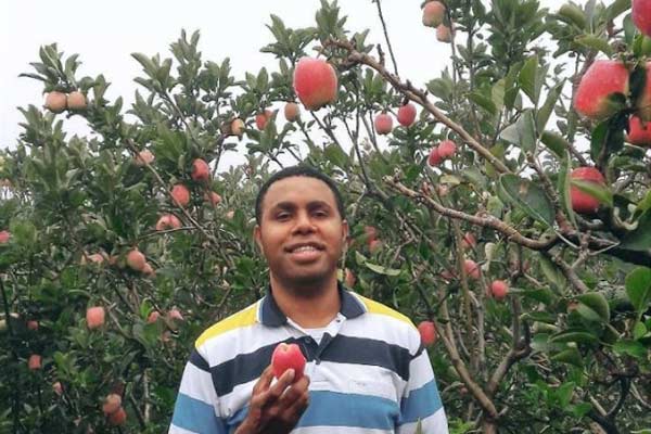 Wisata Petik Apel Agro Rakyat Malang