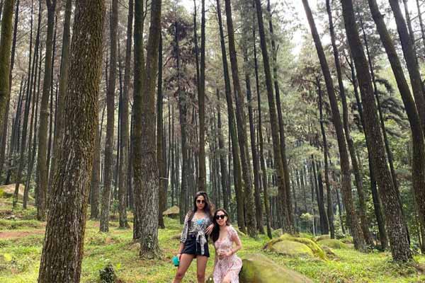 alamat dan rute lokasi Hutan Pinus Sentul Bogor