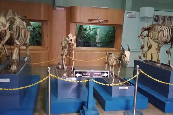 alamat dan rute lokasi Museum Zoologi Bogor