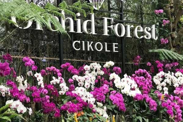 fasilitas Orchid Forest Cikole