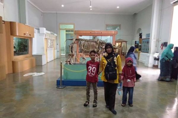 fasilitas di Museum Zoologi Bogor