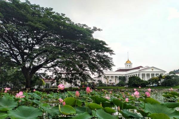 Kebun Raya Bogor Harga Tiket Masuk & Spot Foto Terbaru 2021
